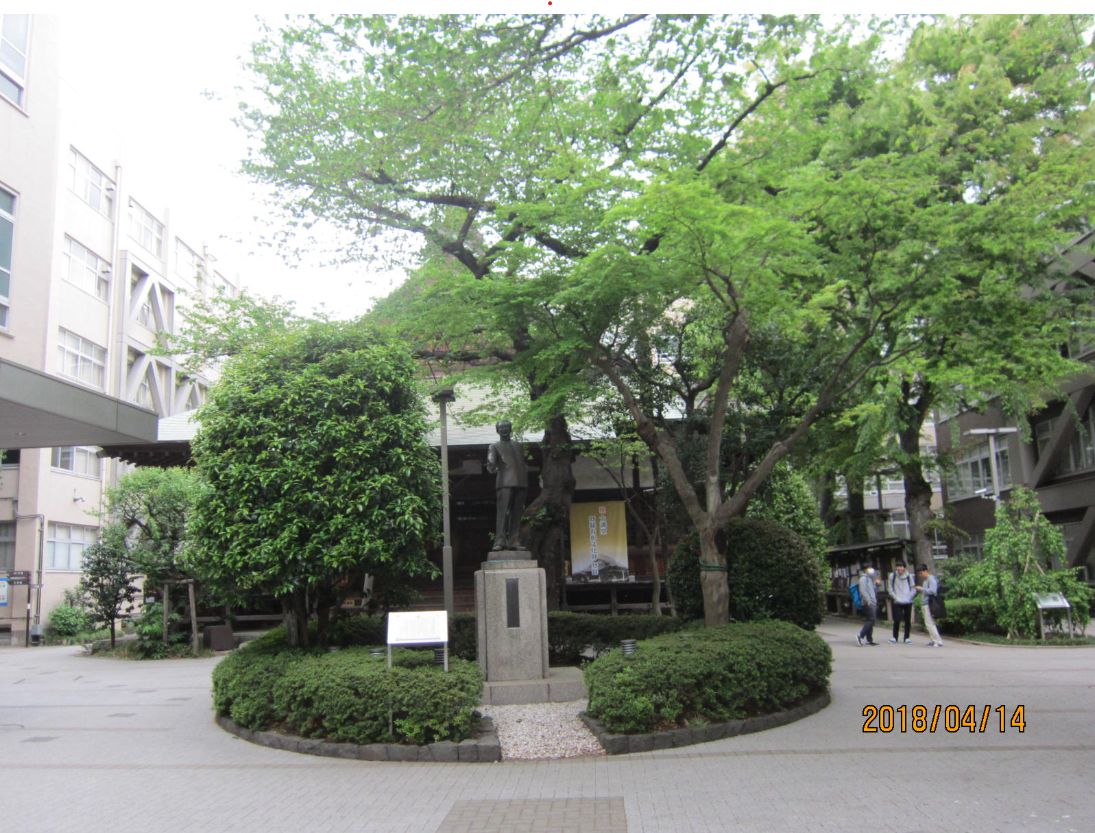 柴田先生銅像