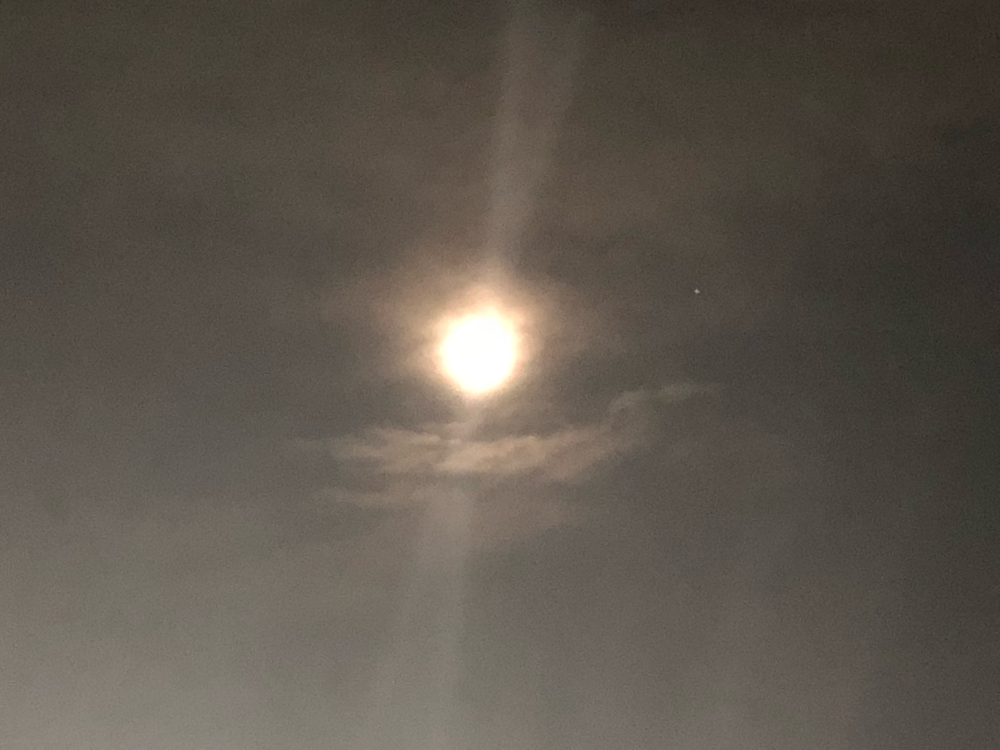地元の夜空