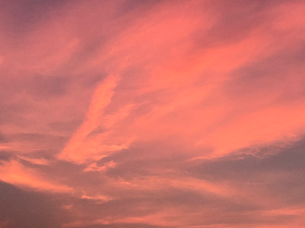 夕景