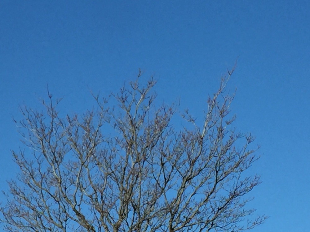 青空...
