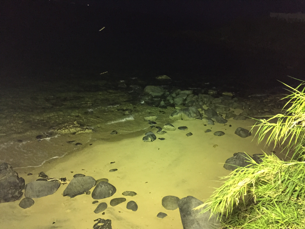 神秘的な夜の海