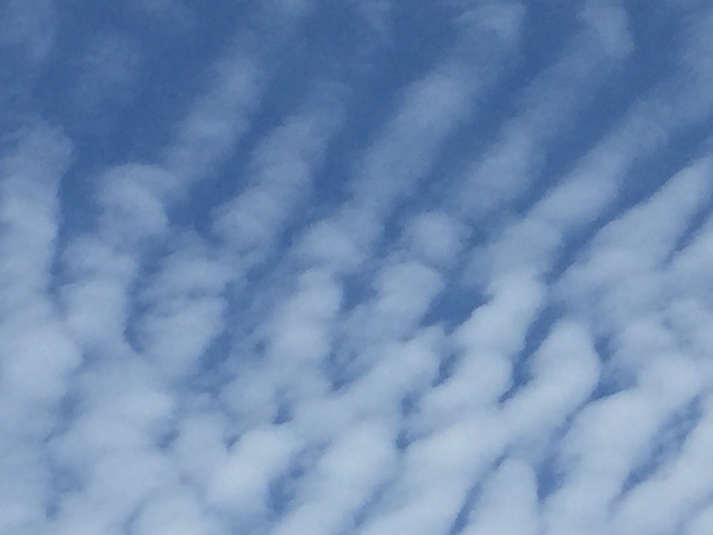 秋の空