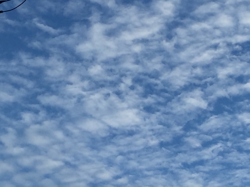 すっかり秋空