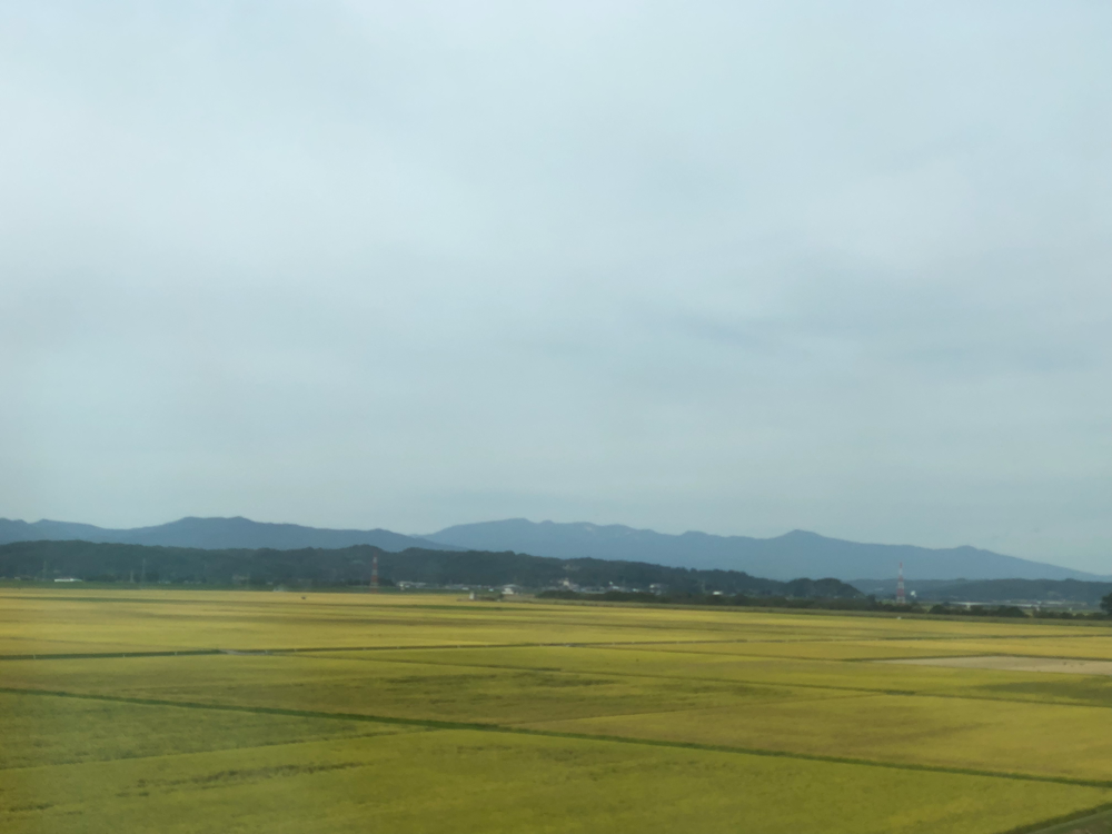 東北新幹線車窓
