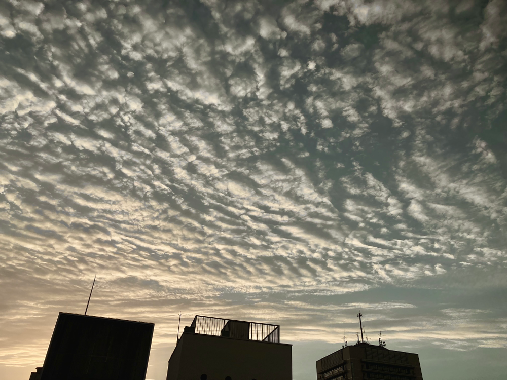 静岡の夕暮れ時
