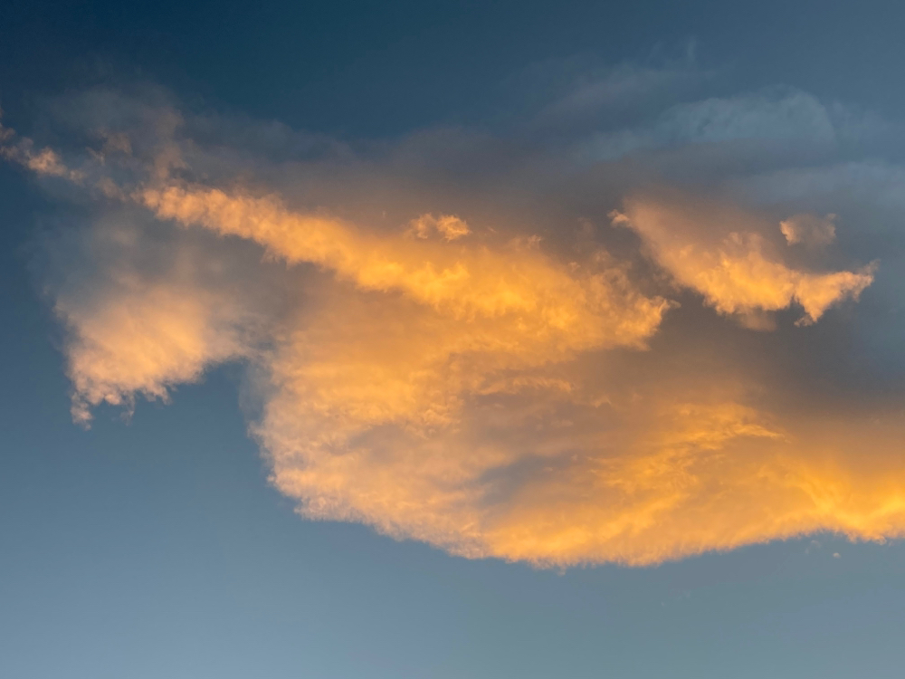 秋空