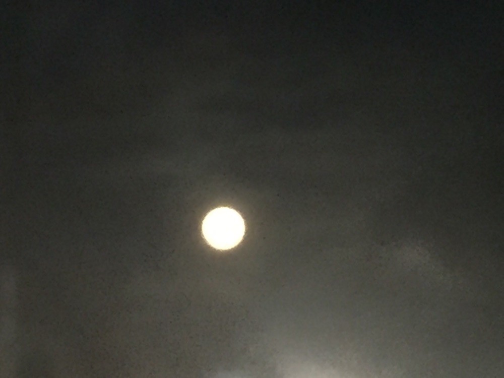 今夜は満月
