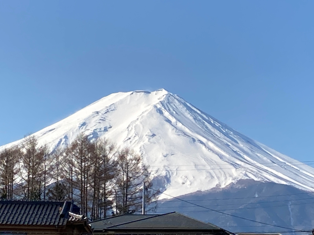 朝富士