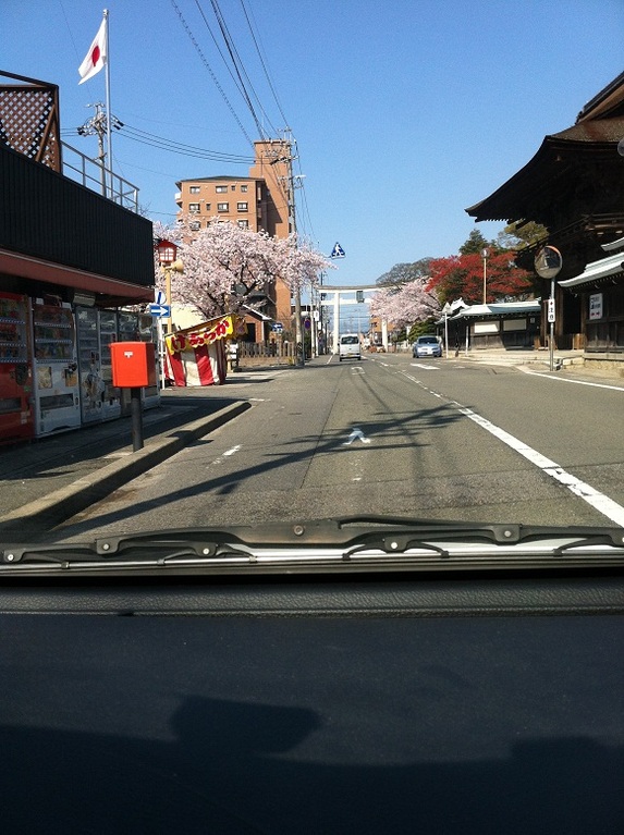 4月12日　国府宮前の道