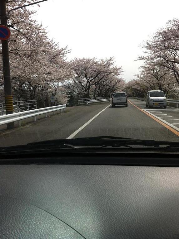 4月10日　犬山周辺