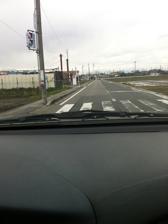 どこのこ④