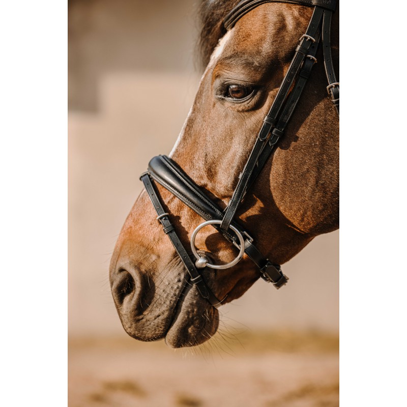 【 江戸期馬具飾革 】　金唐革青海波木瓜紋　額革/鼻革 頭絡/額革 - GALILEO ガリレオ馬具