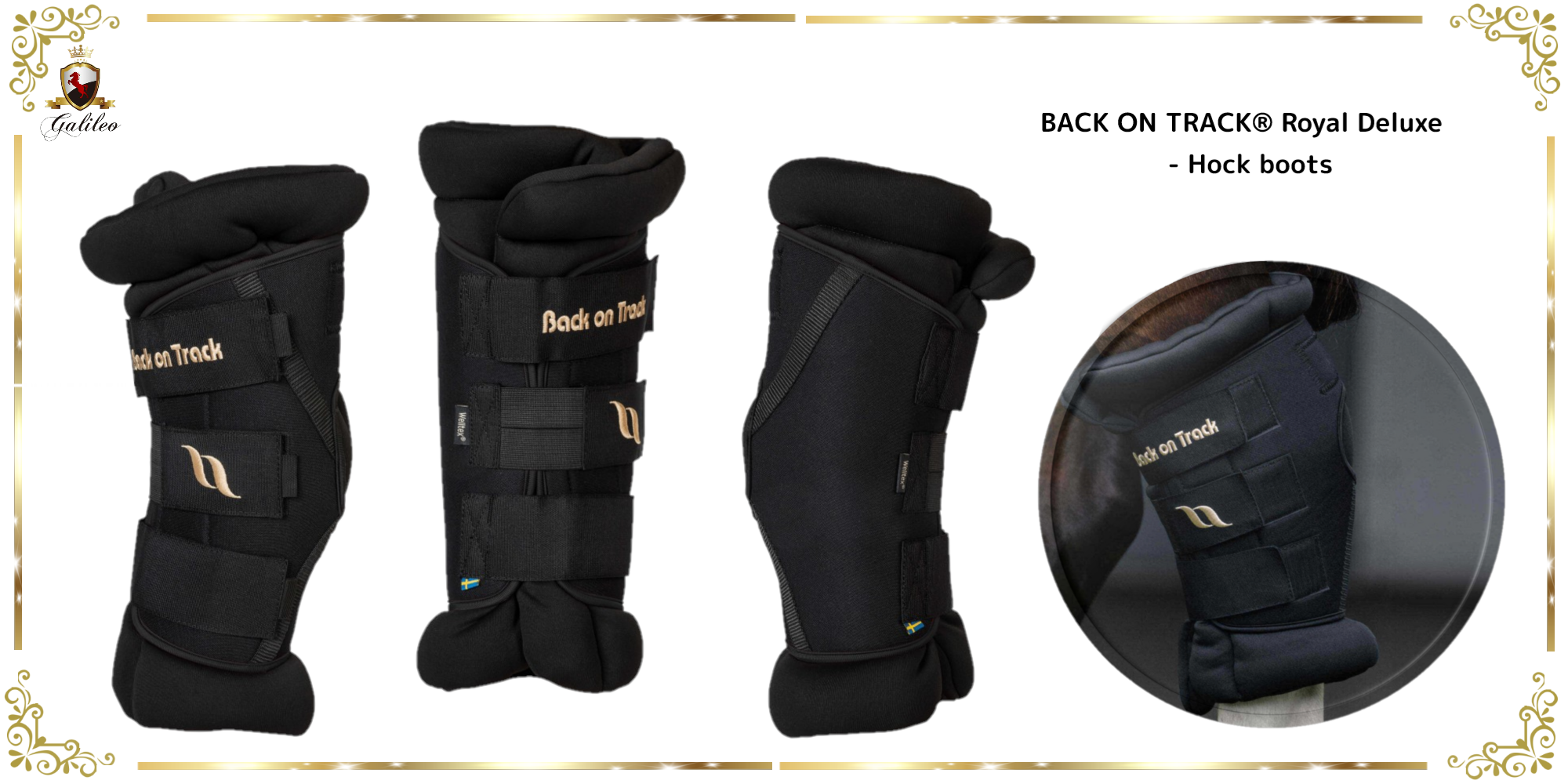 馬具　乗馬　BACK ON TRACK®より飛節用の筋肉の緊張と痛みを和らげ、馬の自己回復力を促すサポーター
