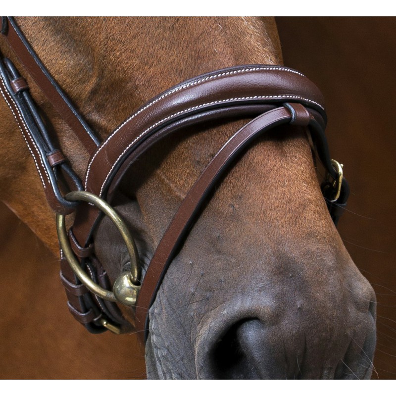 【 江戸期馬具飾革 】　雲龍図橘紋　額革/鼻革 頭絡/額革 - GALILEO ガリレオ馬具