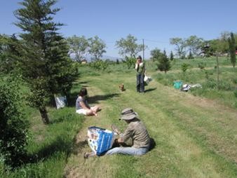 Journée jardin chez Prune