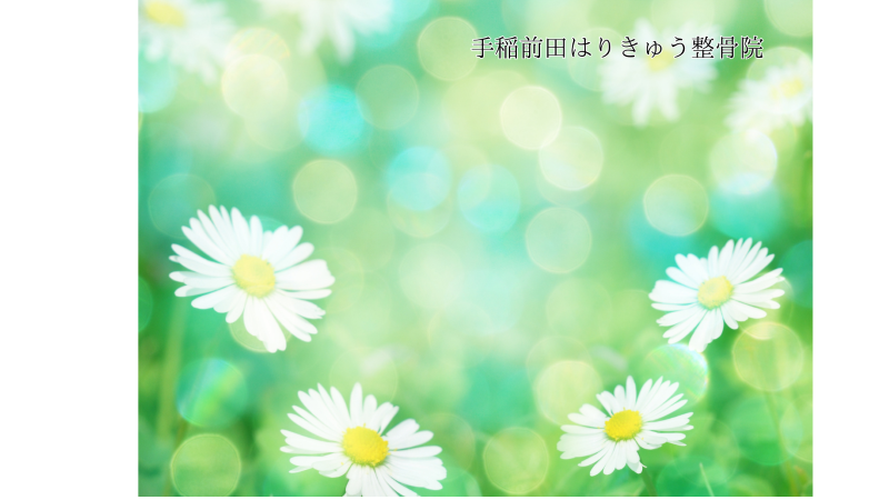 脚の痺れの原因