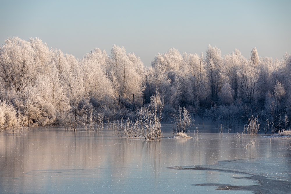 Dezember 22 - Winterwanderung um den Grabschützer See
