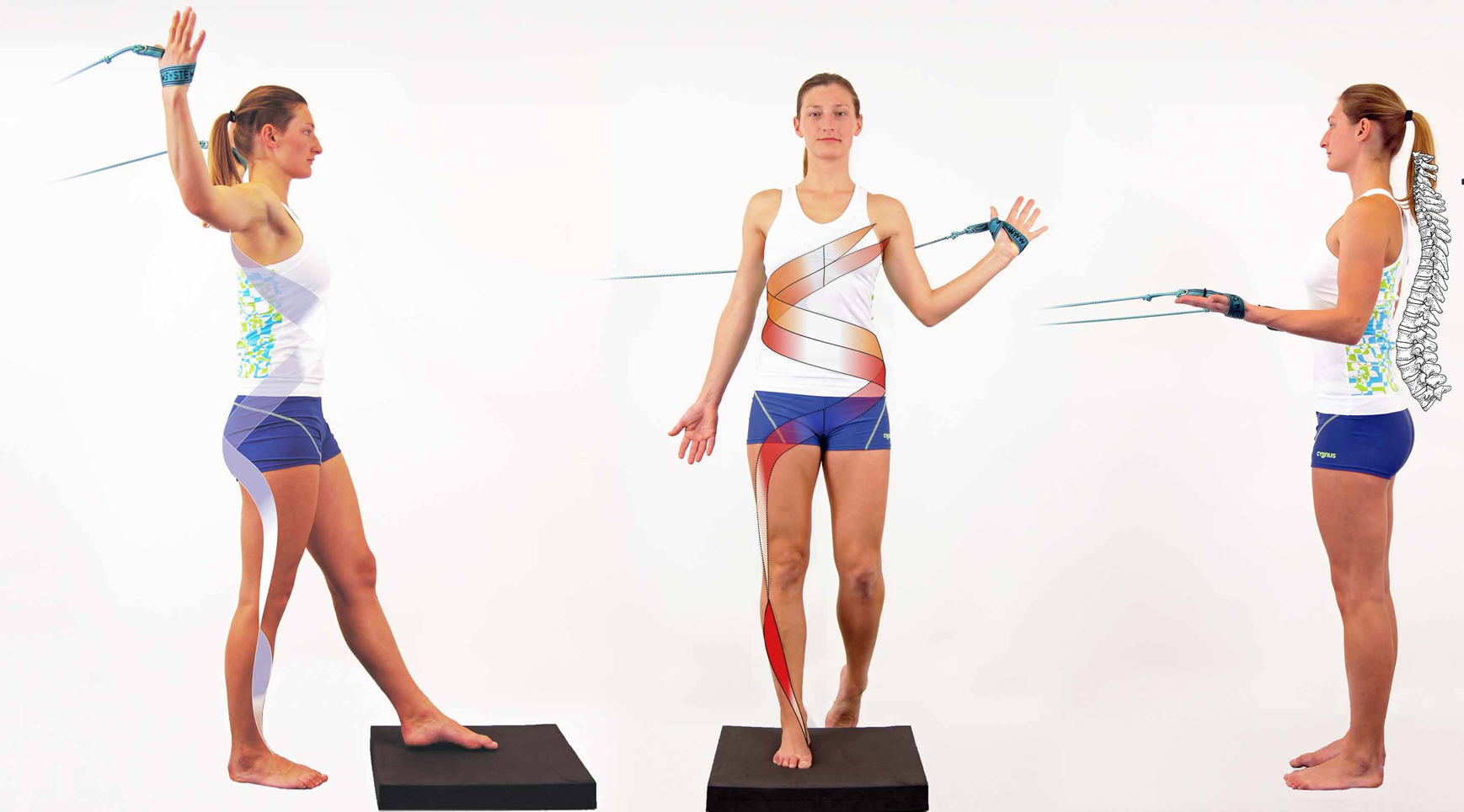 Spiral Stabilization of the Spine Senmotic Österreich & Brno