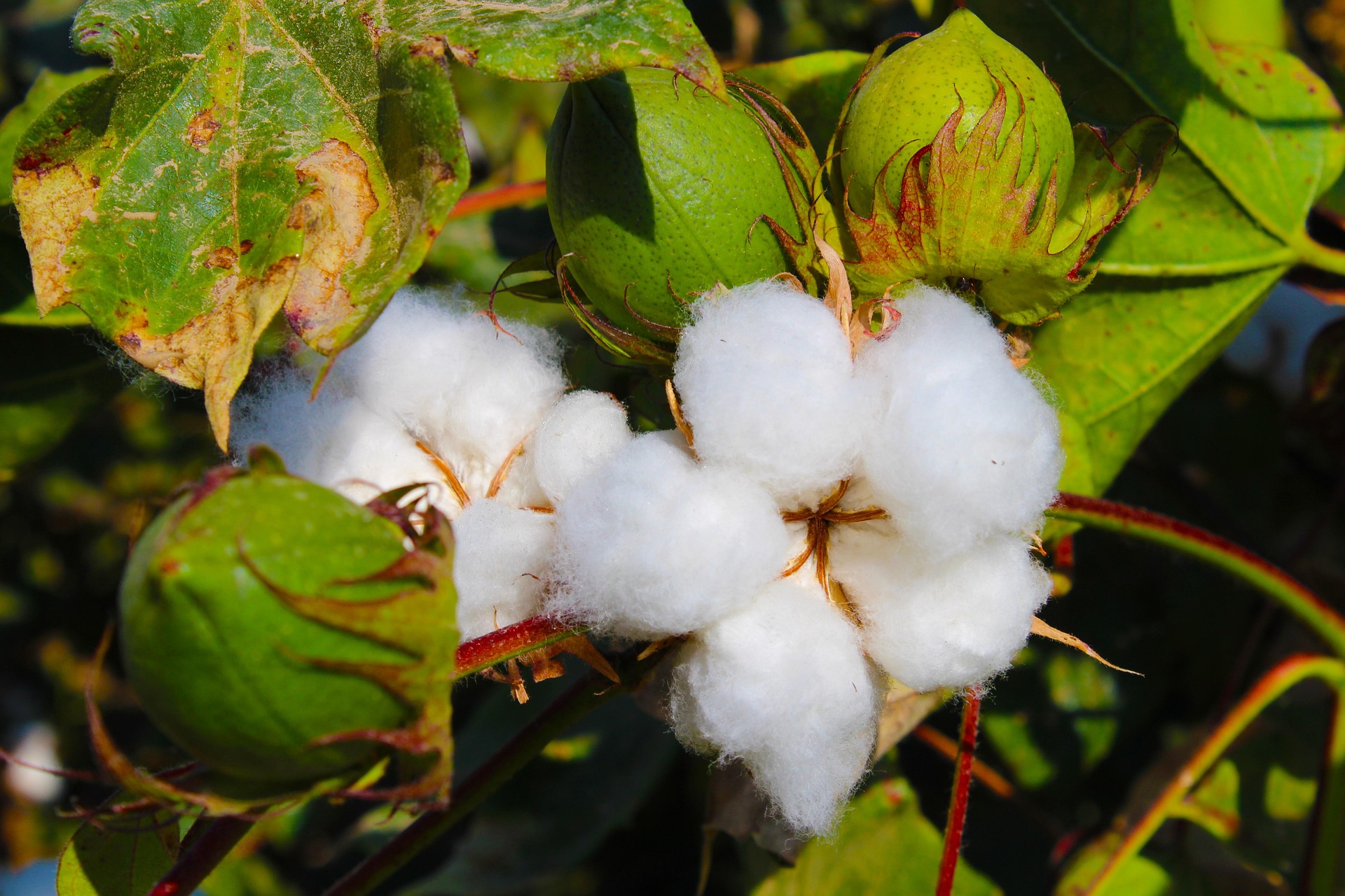 LIWARIS | Nachhaltige Bio-Produkte für ein bewusstes Leben