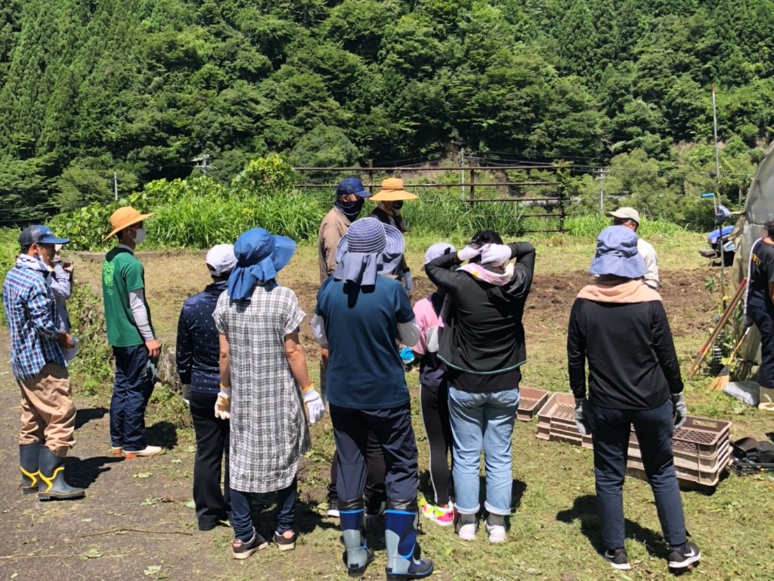 【活動報告】水窪じゃがた収穫ボランティア