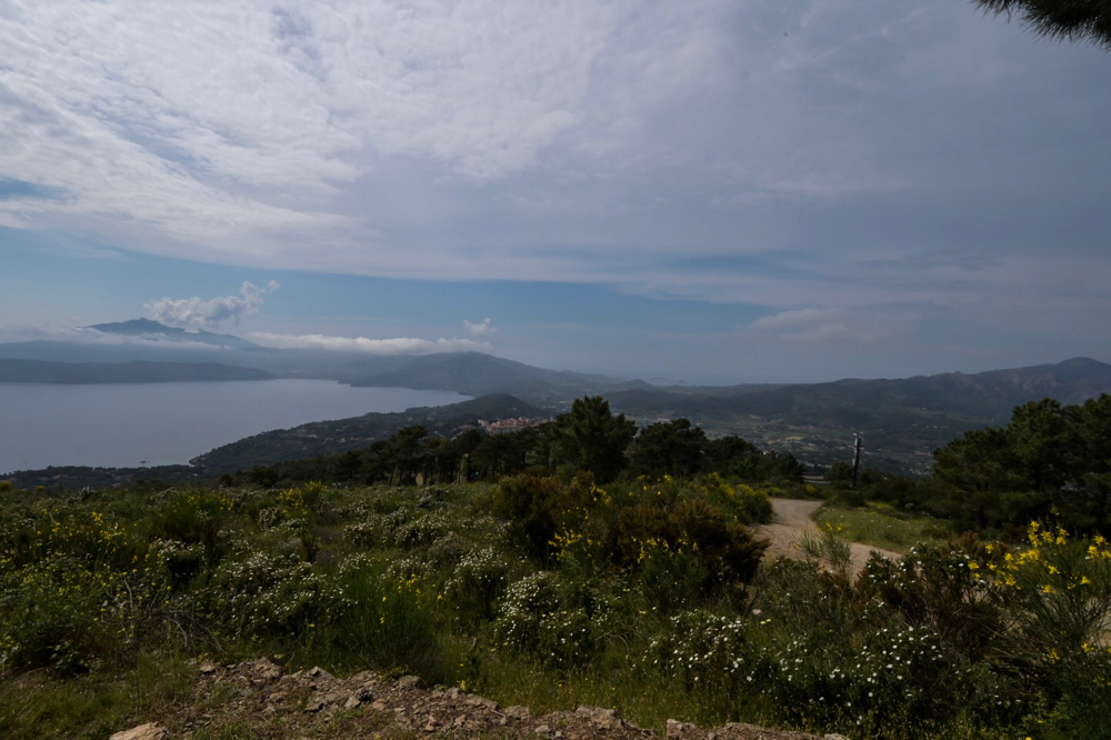 auf demMonte Calamita