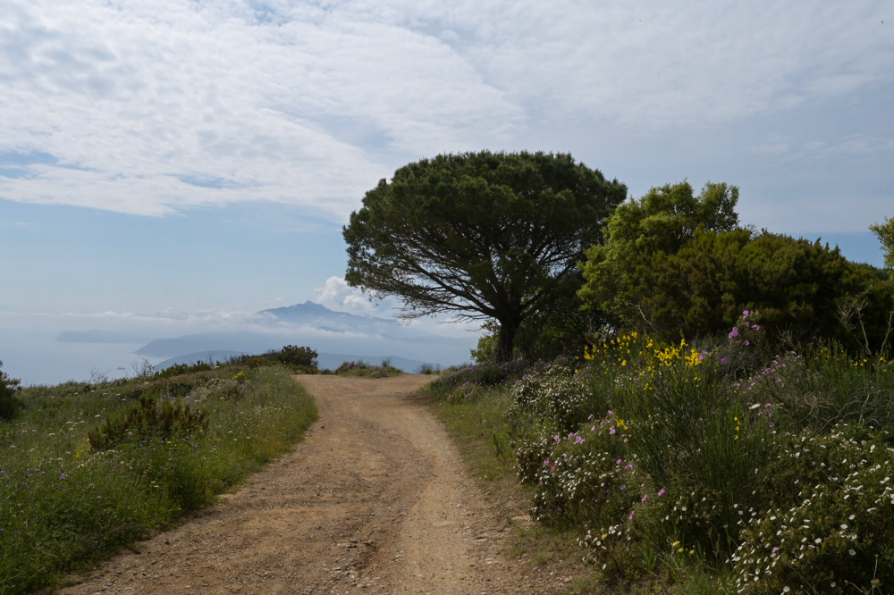 Monte Calamita mit Aussicht auf den Monte Cabanne