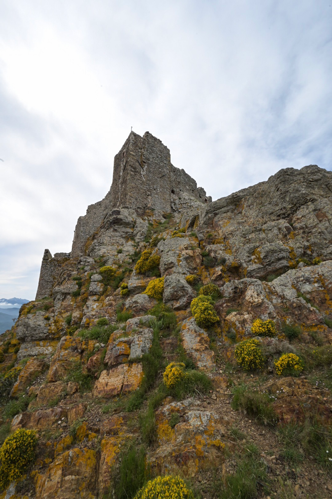 Volterraio