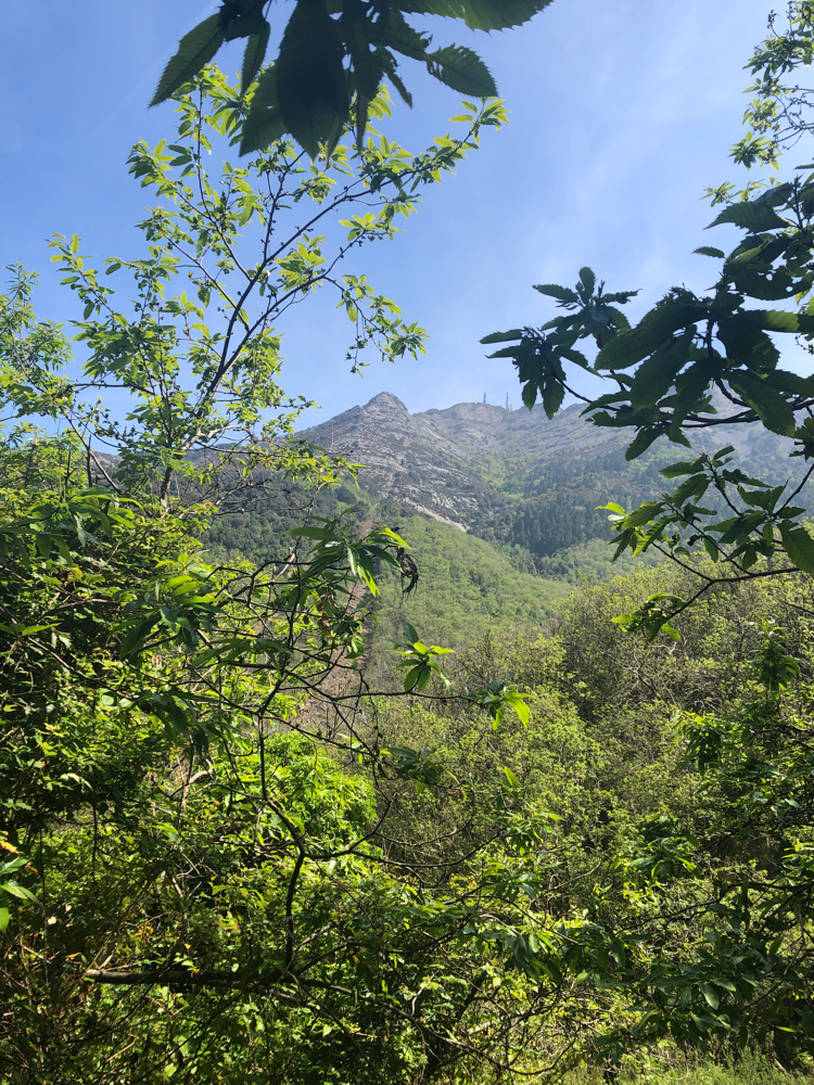 Blick von Marciana zum Monte Cabanne
