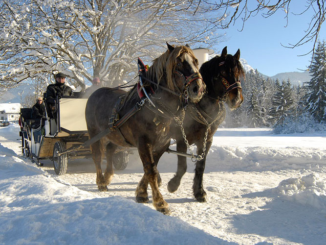 Kutschenfahrten im Kaiserwinkl