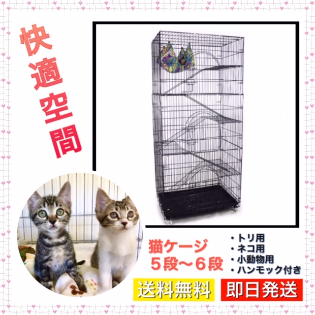 人気を誇る 猫ゲージ 猫ケージ キャットケージ ハンモック付き 折りたたみ式 黒 6段 5段 猫用品 Www Qiraatafrican Com