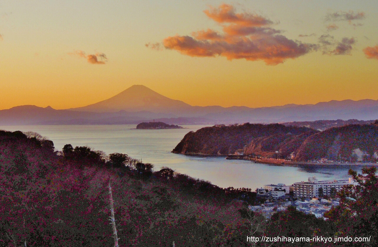 逗子葉桜から夕焼け富士