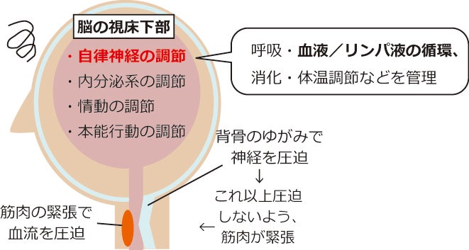 （ほぼ）満員御礼！m(__)m　自律神経と背中ユラユラ