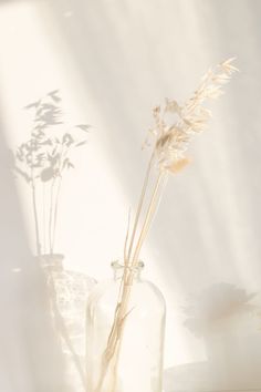sophrologie adultes nantes, sophrologie st philbert de grand lieu, sophrologie prenatal nantes, sophrologie post natal nantes