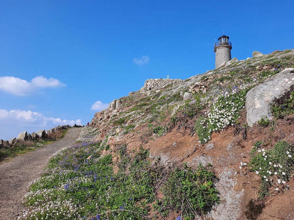 Le sentier qui mène au fort de l'Île aux Moines