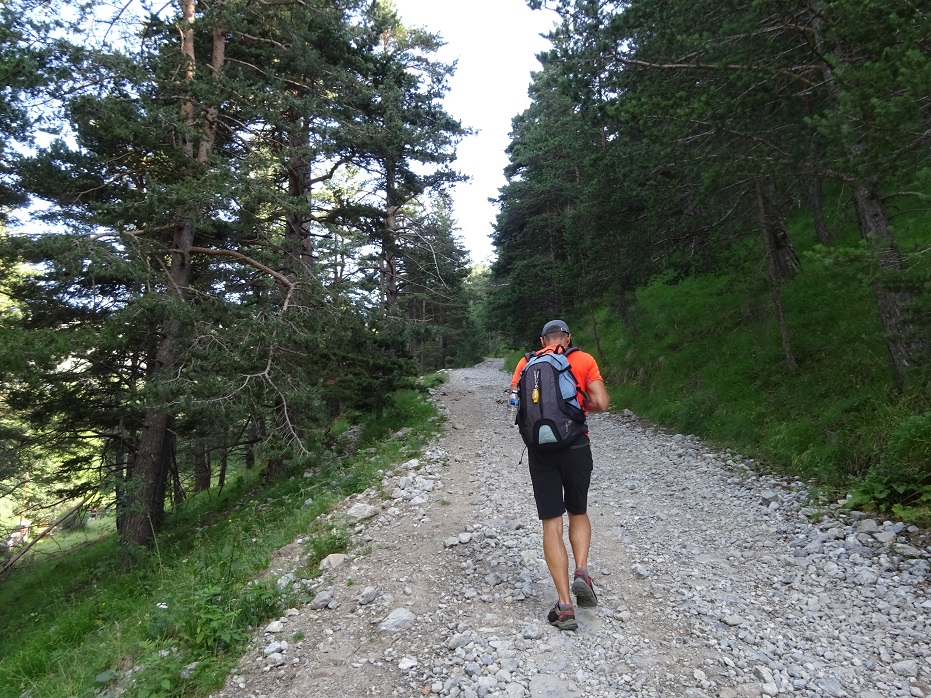 La longue et pas passionnante montée par une piste en forêt