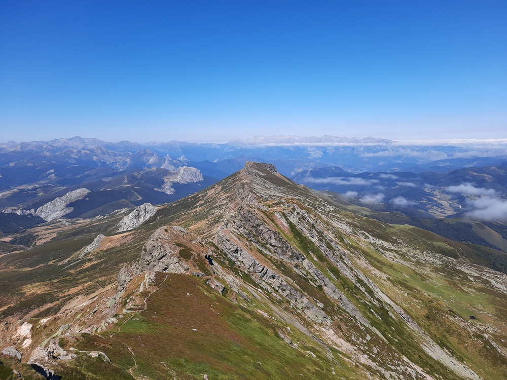 Au loin, on voit los Picos de Europa