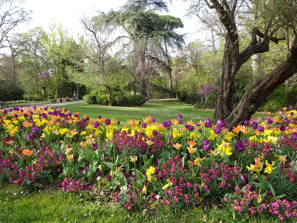 Le Jardin des Plantes