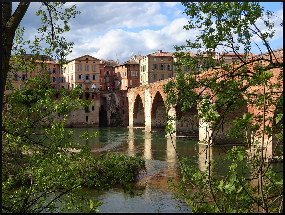 Le Pont Vieux vu depuis les berges du Tarn