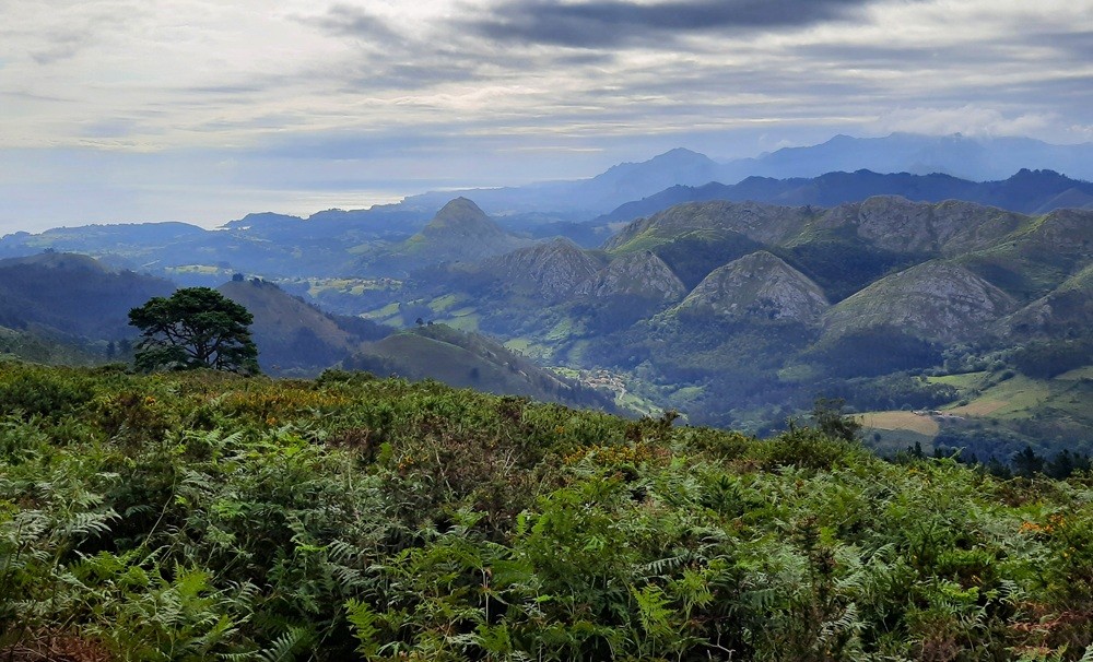 La vue montagne en prenant le petit sentier à côté du spot nuit
