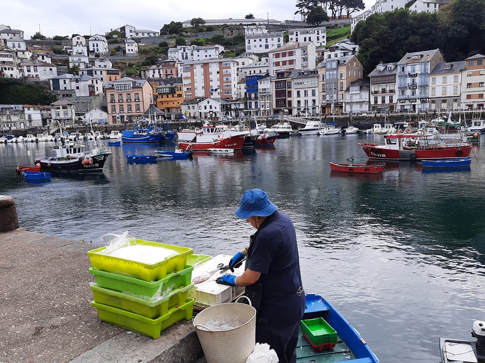 Le port de Luarca