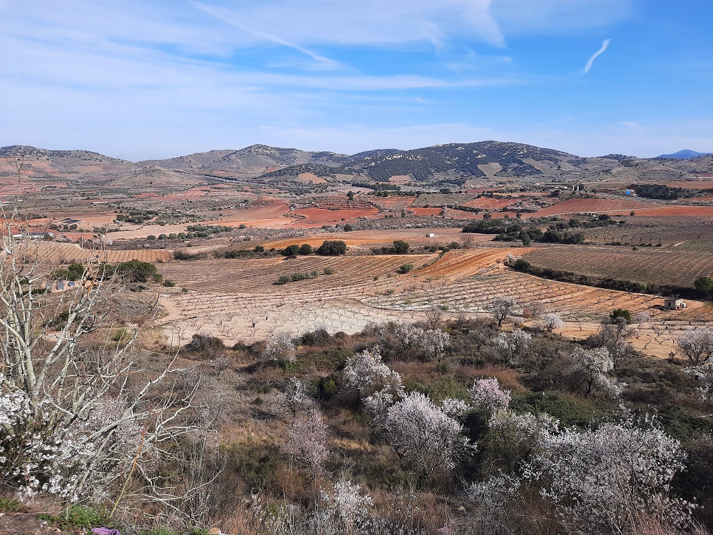 On se croirait encore en Estrémadure mais on est en Aragon !