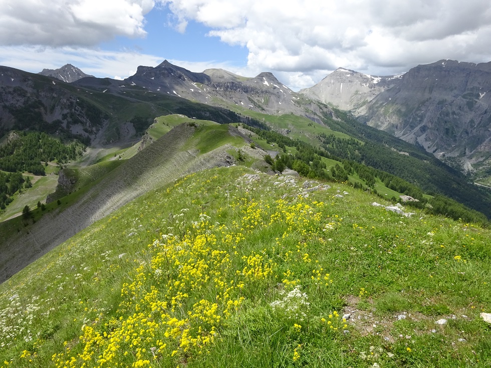 Vue à la cime de la Bercha