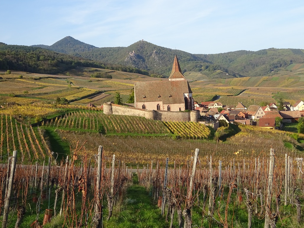 L'étonnante église fortifiée connue grâce à Hansi. Elle sert aux cultes catholique et protestant à tour de rôle. Rentrez voir l'intérieur, il y a de beaux vitraux.