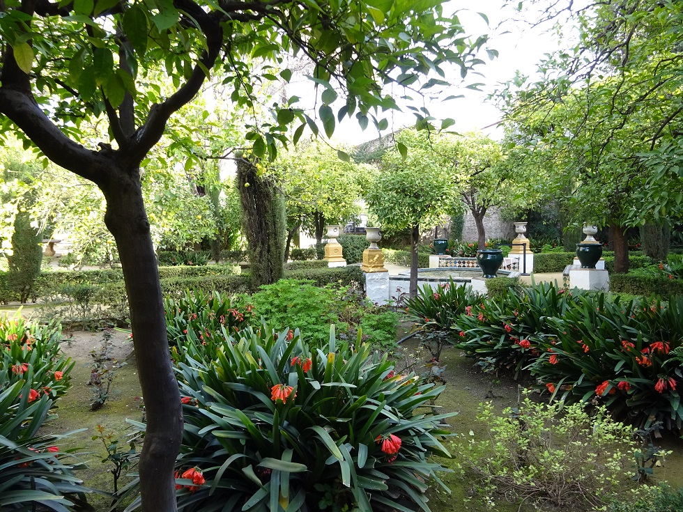 Jardin du Palacio de Las Dueñas avec de jolies  fleurs orangées  (clivias miniatas)  
