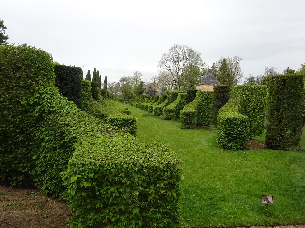 L'Allée des Charmes qui est une des grandes attractions des jardins d'Eyrignac