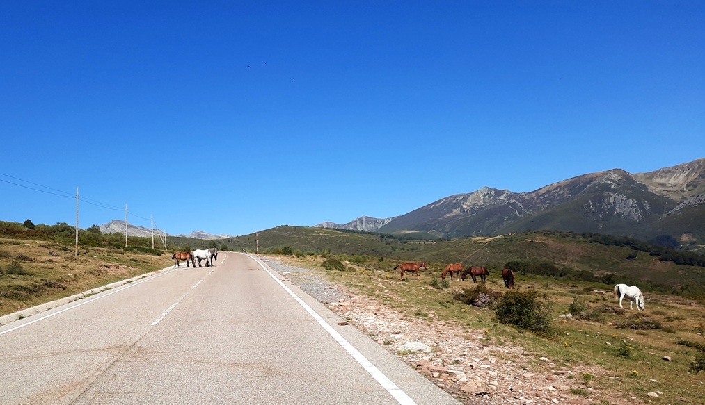 Sur la route entre Reinosa et le Alto Campoo