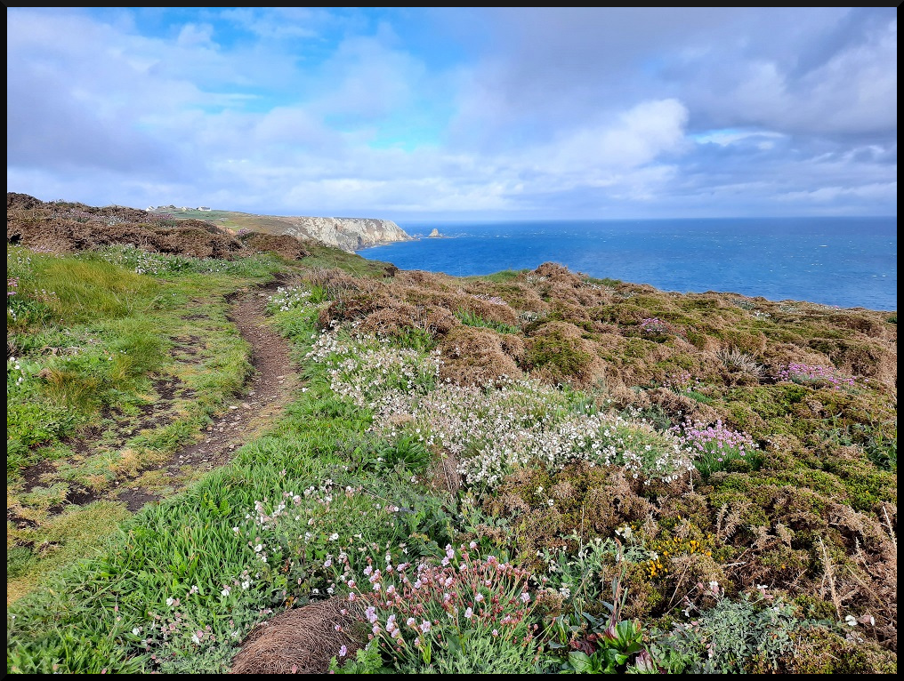 Le sentier qui va à la Pointe de Castelmeur