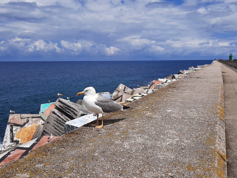 La jetée au bout du port où quelques blocs de béton peints apportent un peu de couleur
