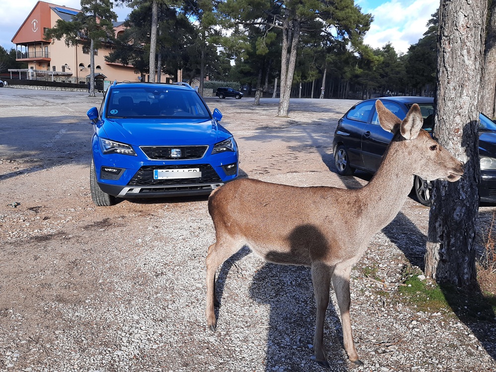 Sur le parking de la Ciudad Encantada