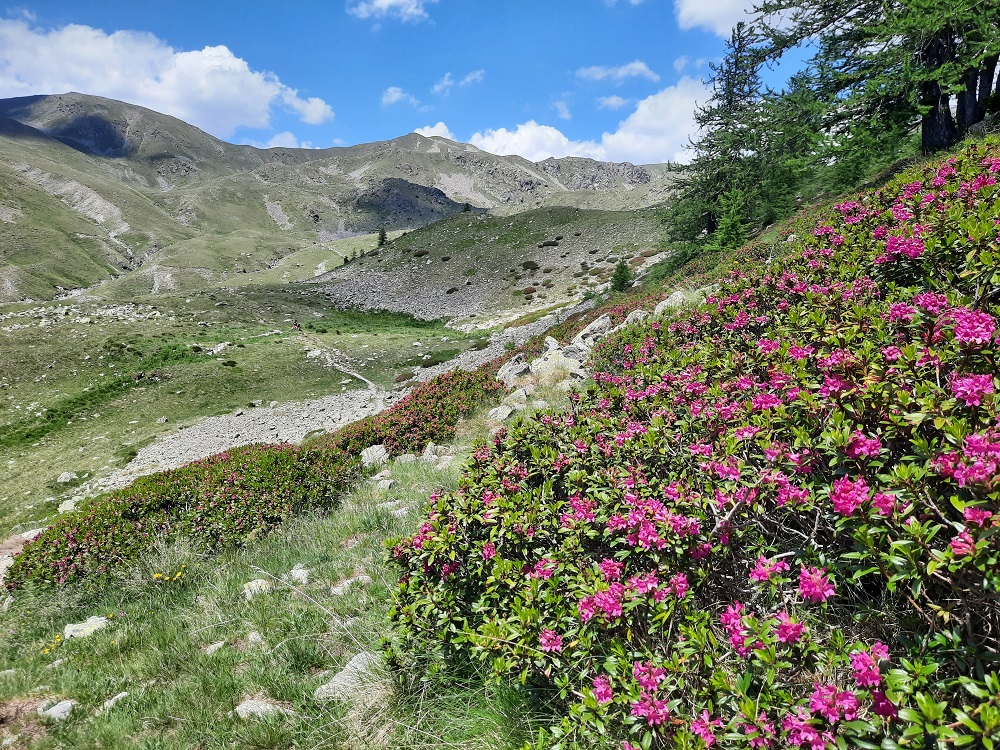 Le sentier qui monte au lac Petit